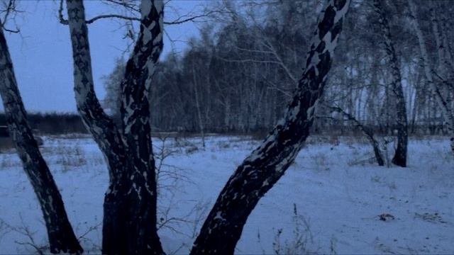 Новогоднее дело Вальдемара и Шиши 🎄🎄🎄🎄🎄🎄🎄🎄🎄🎄🎄🎄