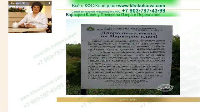 Радькова Л.И. 2019-07-17 «Особенности использования Коллекционных КФС» #кфскольцова