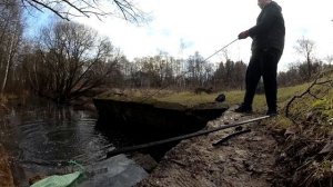 Нашел СЕЙФ, ДЕНЬГИ , камни которые магнитятся(метеориты?) ,на поисковый магнит.