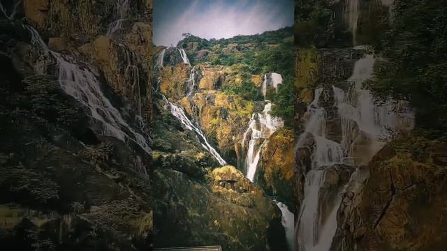 #goa #traveling #indianvlogger #travelrealindia #trending #viral #dudhsagar #waterfall #explore