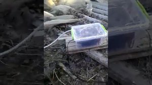 ПОДКЛЮЧЕНИЕ ЭЛЕКТРОПАСТУХА