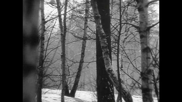 Детский хор п/у В. Локтева (музыка Кирилл Молчанов, слова Марк Садовский) — Школьная роща