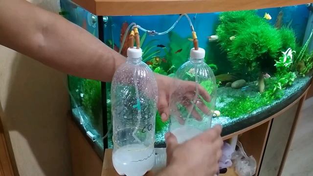 СО2 в аквариуме своими руками на лимонной кислоте. Часть 2 смотреть онлайн