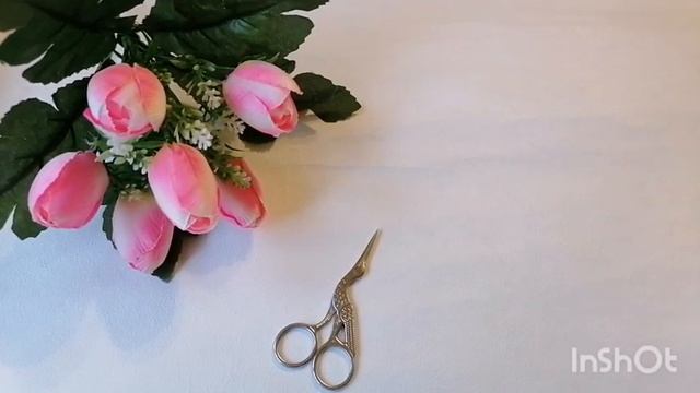 Триостарты. Июнь. Старт 3