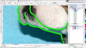 фото в трафарет в Corel Draw