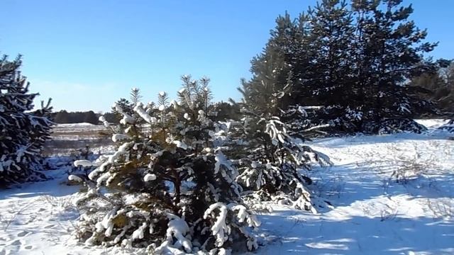 2 февраля 2021 лунный календарь. Что нельзя и что нужно сделать. Убывающая луна. 20 -й лунный день.