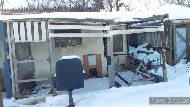✔Без Отопления  Курятник/Два Вида Освещения в Курятнике?/Курятники за Копейки!Как Устроены Курятник