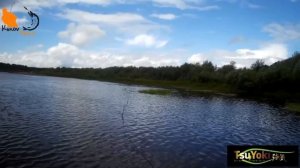 Лягушка от Tsu Yoki Способы проводки  Обзор #11