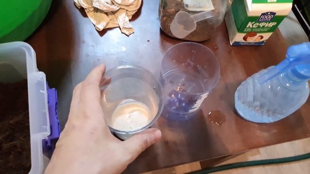 Эксперимент по разведению Гриндаля и Нематоды! Попробуем раскачать культуру! Будни аквариумов!