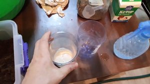 Эксперимент по разведению Гриндаля и Нематоды! Попробуем раскачать культуру! Будни аквариумов!