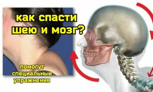 2 самых вредных положения шеи. Секреты укрепления сосудов шеи и мозга