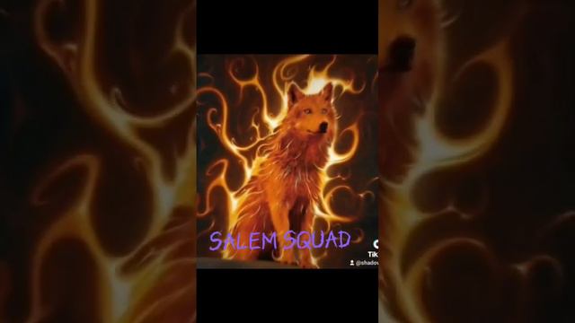 The Salem Squad  | The wolf online simulator #thewolfonlinesimulator #thewolf