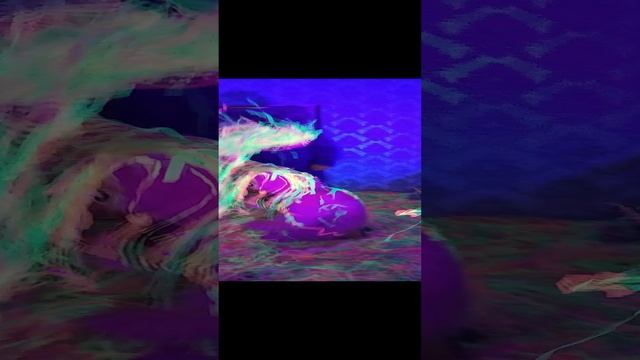 Неоновое шоу