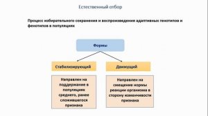 Тема 46. Движущие силы эволюции