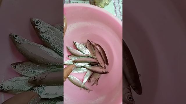 КИЛЬКА ИЗ ВЕРХОПЛАВКИ. МАРИНАД ДЛЯ КИЛЬКИ ДОМА смотреть онлайн