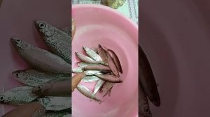 КИЛЬКА ИЗ ВЕРХОПЛАВКИ. МАРИНАД ДЛЯ КИЛЬКИ ДОМА
