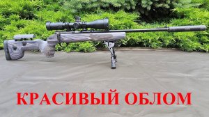 Неудачный тюнинг оружия мелкашки 22 lr Соболь ложе от Mastergun