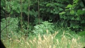 Как сделать шпалеру для бобов и огурцов на сетке. Сад и огород выпуск 180