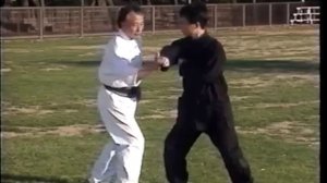 chen tai chi chuan