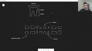 BioFamily: Строение зуба за 10 минут