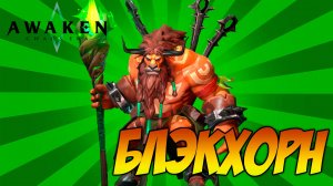 Awaken: Chaos Era | БЛЭКХОРН