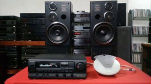 Sony SS D33 Video 01 Of 04