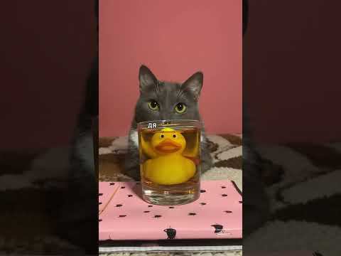 СТРАШНАЯ ИСТОРИЯ ОТ ГЕННАДИЯ ПЕТРОВИЧА - ШКОЛА В ЛЕСУ - смотреть видео онлайн от