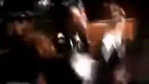 Айнц Цвай полицай