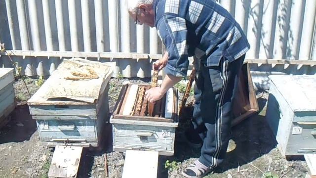 Пасека Семьи Сидоренко. Часть 1. Предыстория: 2008 - 2013 гг. смотреть онлайн