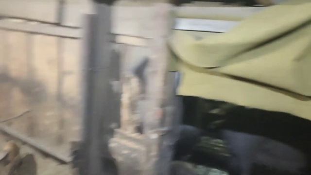 Зарезали кабанчика,вес тушки, цена поросят. смотреть онлайн