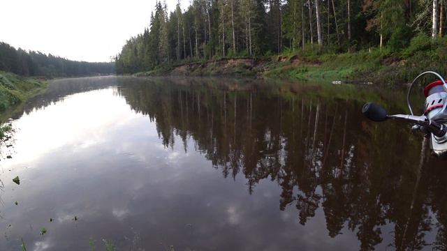 На реку за белой рыбой. Ловля бели на поплавок и на фидерную снасть. Baltās zivs cope Gaujā. смотреть онлайн