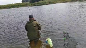 Ловля плотвы и леща в проводку