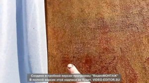 Перетяжка потолка Ауди 80 ч 2.mp4