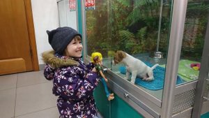 Едем в зоомагазин за кормом Бъянке. Rina Today. Видео для детей 0+