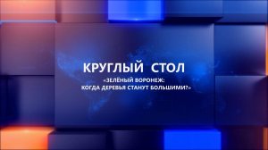 Круглый стол «Зелёный Воронеж: когда деревья станут большими?»