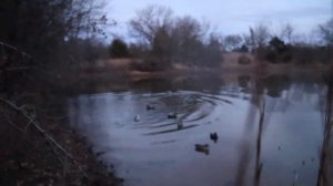 Lucky Duck Super Swimmer HD Review ( Hunting Action )