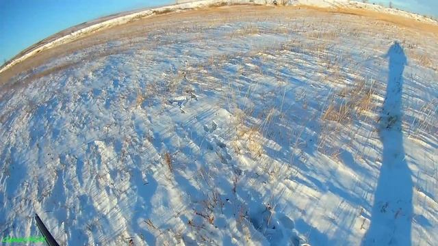 Охота на зайца: большой облом. (неудачная) смотреть онлайн