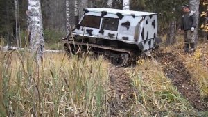 Гусеничный в болоте