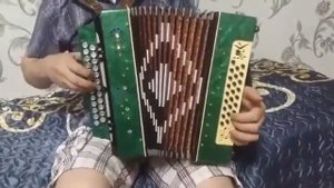 Гармонь до-диез в корпусе Чайки.