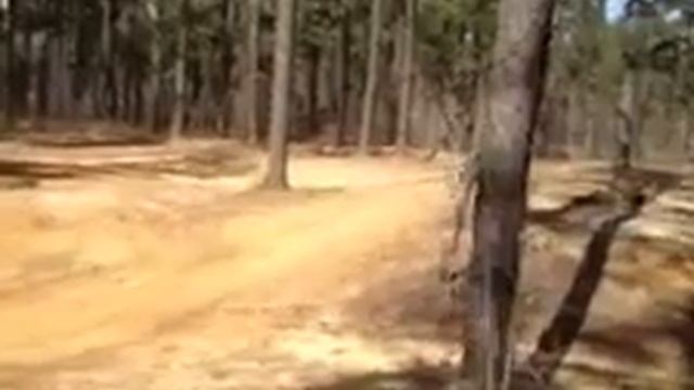 TRX 300 смотреть онлайн