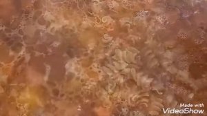 Суп из косточек баранины с макаронами. Макарон шорпо