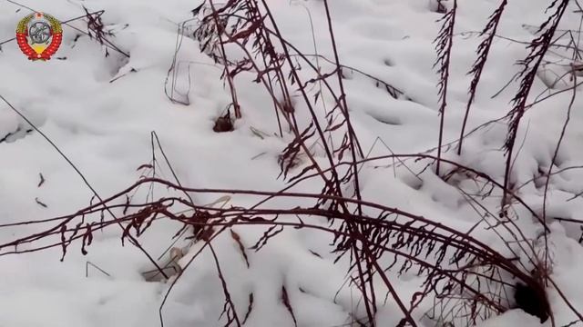 Зимний поиск металлолома. Часть 1. смотреть онлайн