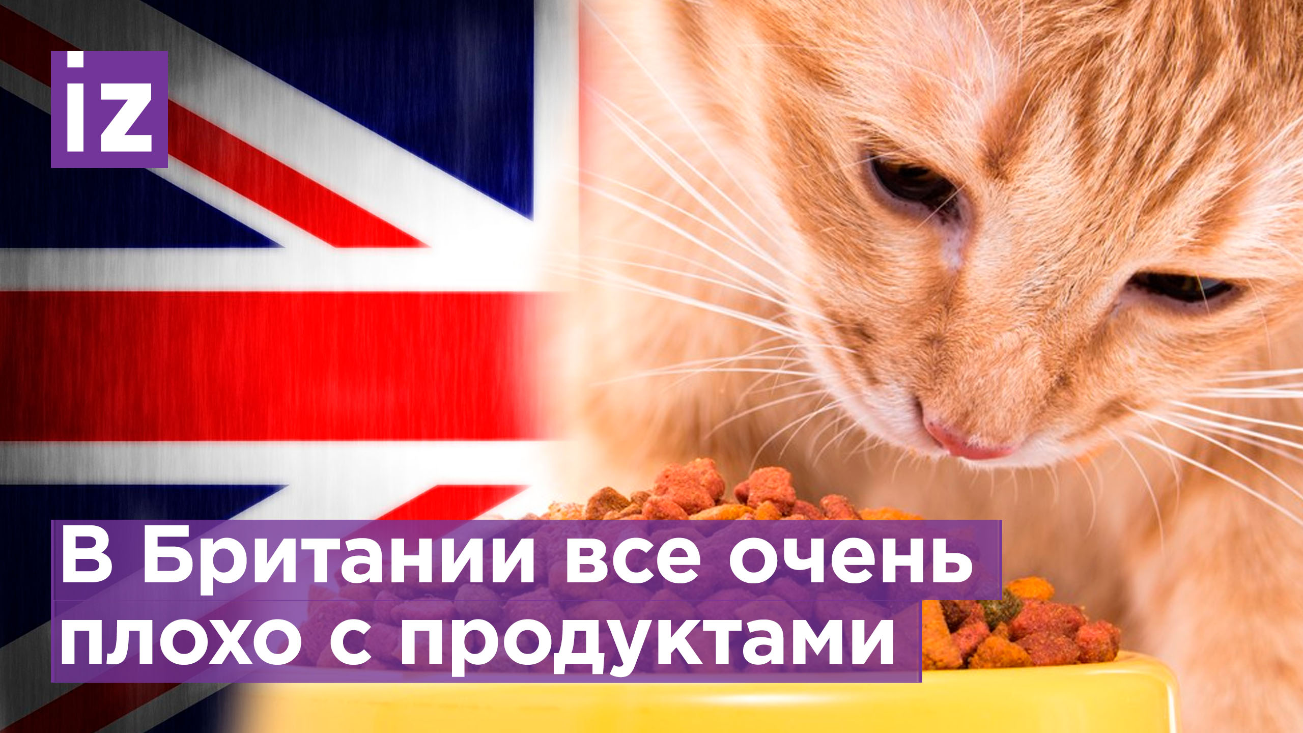 Из-за роста цен британцы вынуждены есть корма для домашних животных - издание Independent / Известия