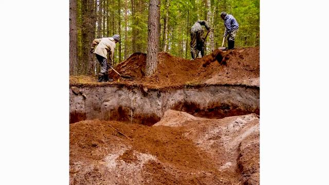 Раскопки Большеларьякского городища. Нижневартовский район.