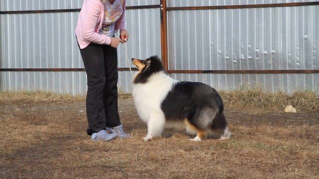 MVI 2164 смотреть онлайн