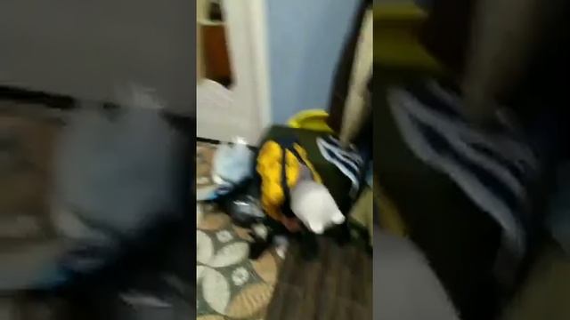 Денис сам раздевается. Сенсомоторная алалия. 4 года 5 месяцев.