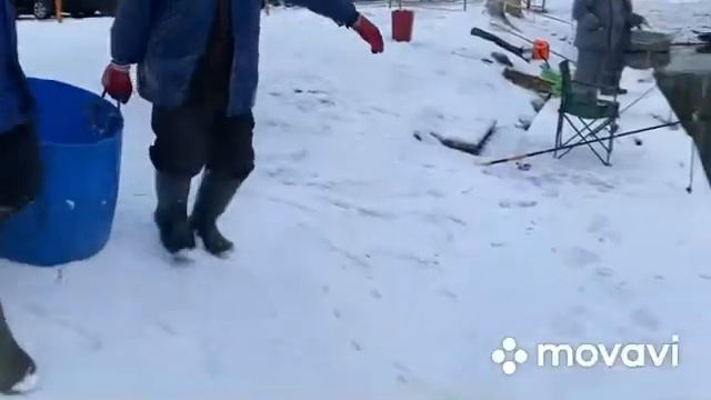 Запуск форели в Ольгово.
