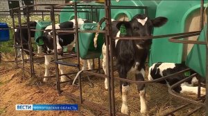 8 фермерских хозяйств Вологодской области в этом году получат грант «АгроСтартап»