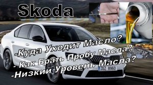 Skoda: Куда Уходит Масло? Проба Масла. (2024)