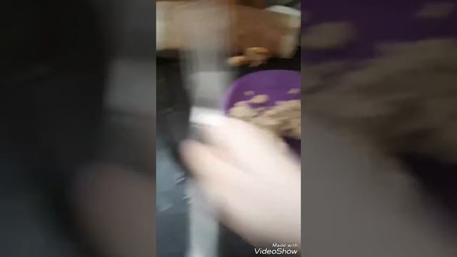 Как я кормлю мопса смотреть онлайн